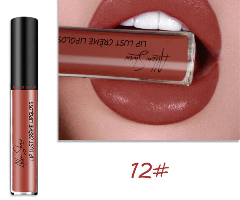 Silky Cream Texture Lip Gloss Aliexpress Shopee Cross-Border Exclusive Lip Glaze Lip Gloss Lipstick