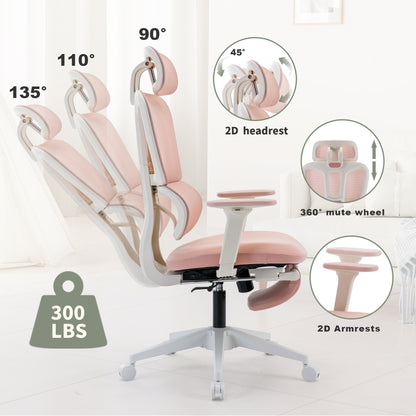 Ergonomic Mesh Office Chair with 2D Adjustable Armrest,High Back Desk Computer Chair,Ergonomic Office Chair with Wheels for Home &amp; Office