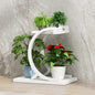 Modern And Simple Living Room Indoor Floor-type Multi-layer Flowerpot Rack