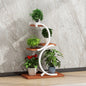 Modern And Simple Living Room Indoor Floor-type Multi-layer Flowerpot Rack