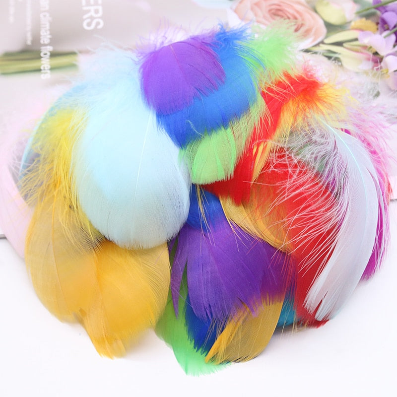 100pcs Goose Feathers for Crafts 4-8cm 8-12cm Swan Plumes Wedding Party Handicraft Accessories Decoration Dream Catcher Feathers