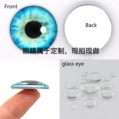 50 Pcs Glass Eyes for DIY Sewing Dolls Crafts Accessories Cat Eye Dragon Dinosaur Eye Round Cabochon