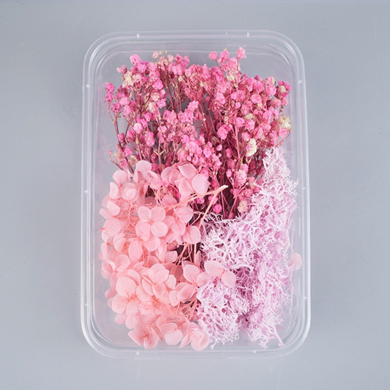 1Box Dried Flowers Dry Plants for Epoxy Resin Casting Mold DIY Aromatherapy Candle Molds Crafts Tools Jewelry Making Accessories