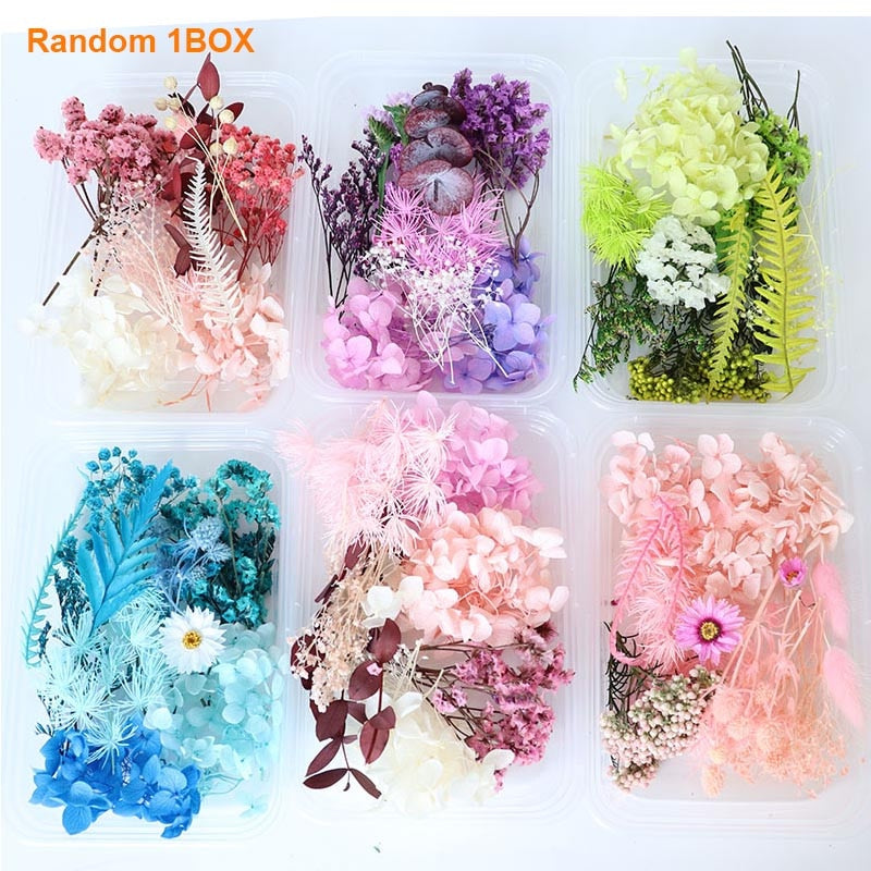 1Box Dried Flowers Dry Plants for Epoxy Resin Casting Mold DIY Aromatherapy Candle Molds Crafts Tools Jewelry Making Accessories