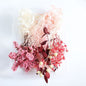 1Box Dried Flowers Dry Plants for Epoxy Resin Casting Mold DIY Aromatherapy Candle Molds Crafts Tools Jewelry Making Accessories