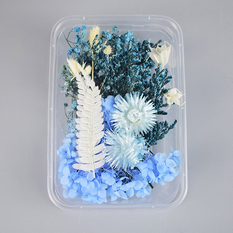 1Box Dried Flowers Dry Plants for Epoxy Resin Casting Mold DIY Aromatherapy Candle Molds Crafts Tools Jewelry Making Accessories