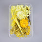 1Box Dried Flowers Dry Plants for Epoxy Resin Casting Mold DIY Aromatherapy Candle Molds Crafts Tools Jewelry Making Accessories