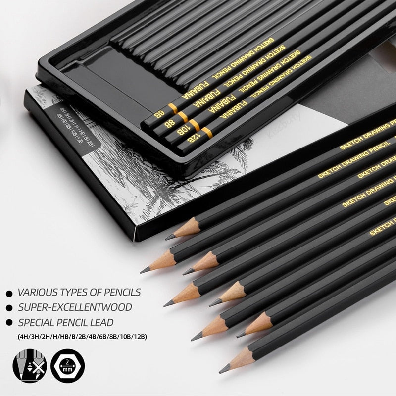 Professional Drawing Sketching Pencil Set, 12 Pieces Art Pencils Graphite Shading Pencils for Beginners &amp; Pro Artists