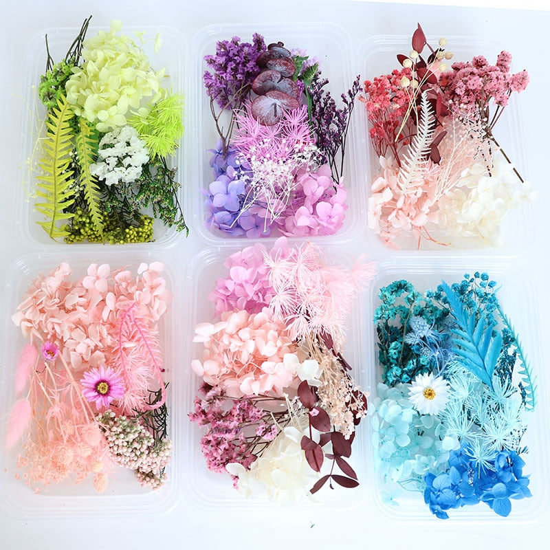 1Box Dried Flowers Dry Plants for Epoxy Resin Casting Mold DIY Aromatherapy Candle Molds Crafts Tools Jewelry Making Accessories