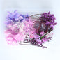 1Box Dried Flowers Dry Plants for Epoxy Resin Casting Mold DIY Aromatherapy Candle Molds Crafts Tools Jewelry Making Accessories