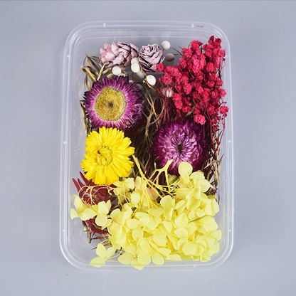 1Box Dried Flowers Dry Plants for Epoxy Resin Casting Mold DIY Aromatherapy Candle Molds Crafts Tools Jewelry Making Accessories