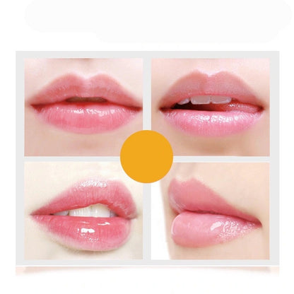 Moisturizing Lip Balm Zendrop