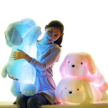 🚨 Cute Colorful Light Up Dog Plush Doll nihaodropshipping