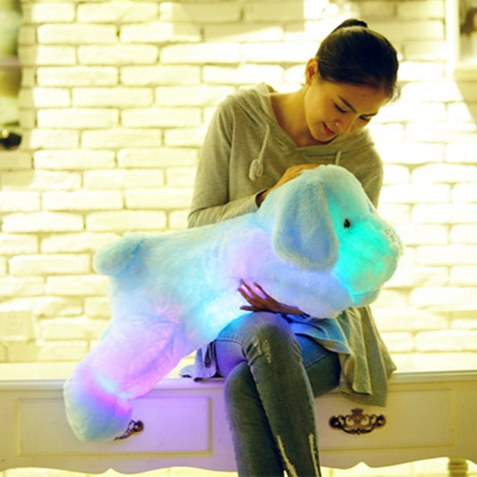 🚨 Cute Colorful Light Up Dog Plush Doll nihaodropshipping