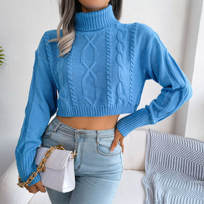 Mixed Knit Turtleneck Cropped Sweater Trendsi