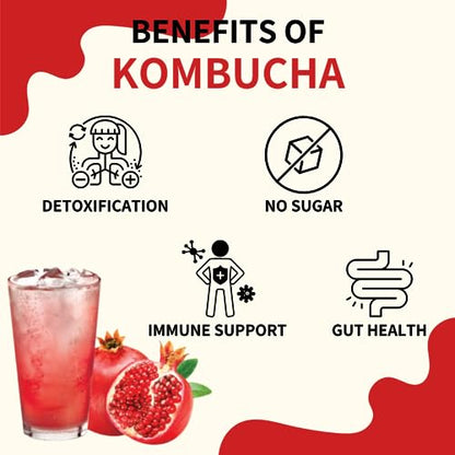 Garden Kombucha Tea, Powder 5g x 20 Sachets (100g/3.52oz) Probiotics, Prebiotics, Sugar Free, Diet Tea, Healthy Drink with Bottle (FREE BOTTLE SHAKER) (Pomegranate)