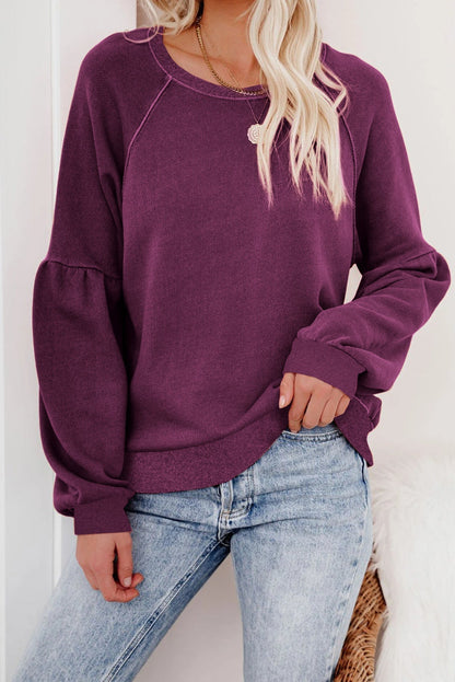 Raglan Patchwork Sleeve Pullover Sweatshirt Kiwidrop