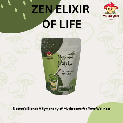 Mushroom Matcha - 6 Adaptogenic Mushroom Blend: Lion's Mane, Cordyceps, Reishi, Shiitake, Reishi, King Trumpet, Turkety Tail - Mushendo Farm - 35 Servings