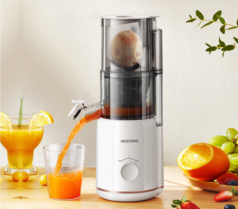 Juicer Juice Residue Separation Household Multi-function