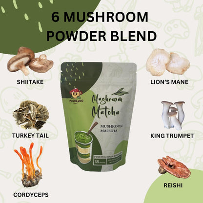 Mushroom Matcha - 6 Adaptogenic Mushroom Blend: Lion's Mane, Cordyceps, Reishi, Shiitake, Reishi, King Trumpet, Turkety Tail - Mushendo Farm - 35 Servings