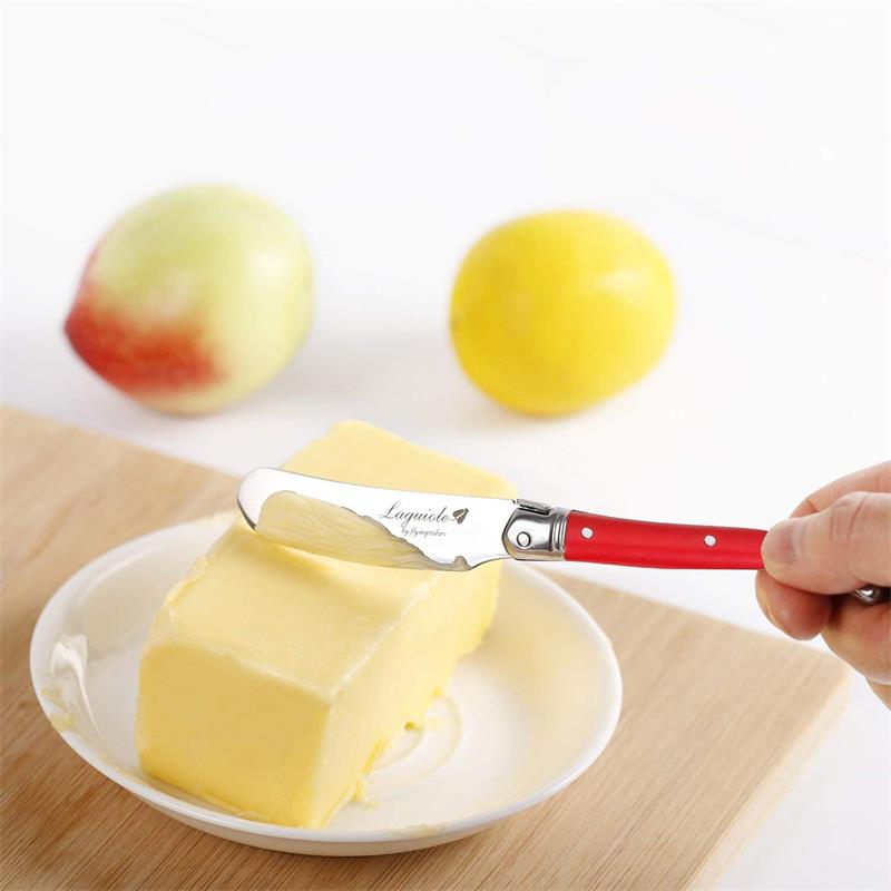 6pcs Laguiole Butter Knife Cheese Spreader Spatula Rainbow Plastic Handle Cheese Slicer Cutter Stainless Steel Kitchen Utensils - DunbiBeauty, LLC