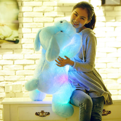 🚨 Cute Colorful Light Up Dog Plush Doll nihaodropshipping