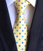 Men's Silk Fashion Neckties Dsers