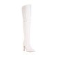 Women's Thigh High Stiletto Boots Dsers