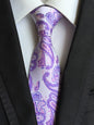 Men's Silk Fashion Neckties Dsers