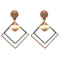 Women's Acrylic Drop Dangle Earrings Dsers