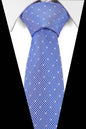 Men's Silk Business Tie Dsers