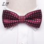 Men's Assorted Bow Ties Dsers