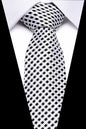 Men's Silk Business Tie Dsers