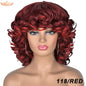 Short Hair Afro Curly Wig With Bangs For Black Women Synthetic Ombre Glueless Cosplay Wigs High Temperature Annivia