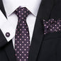 Men's Business Tie and Handkerchief Sets Dsers