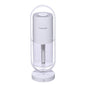 Anion humidifier - DunbiBeauty, LLC