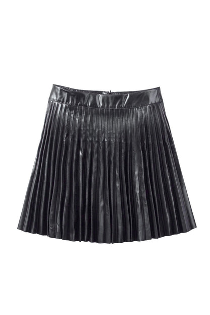 Black Pleated High Waist Mini Skirt - DunbiBeauty, LLC