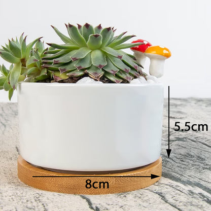 Double Side Printing Flowerpot Asian Garden, Beauty, Peace, Serenity, Home, Happiness, Crane, River, Historic, Chinese Dynasty, Hanfu, Mossy Green (Designed by Dunbi)