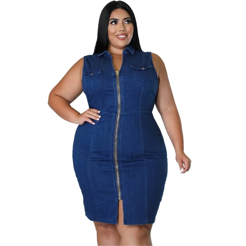 Collared Neck Sleeveless Denim Dress with Zippper - DunbiBeauty, LLC