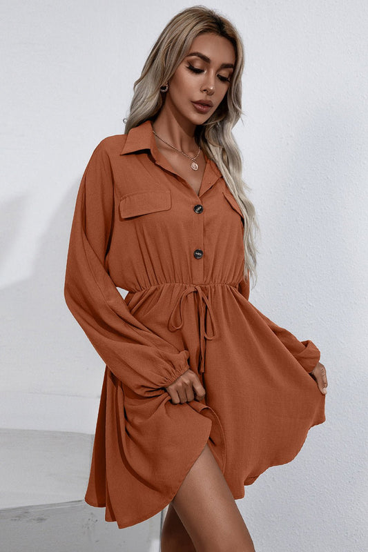 Collared Tie Waist Button Up Shirt Dress - DunbiBeauty, LLC