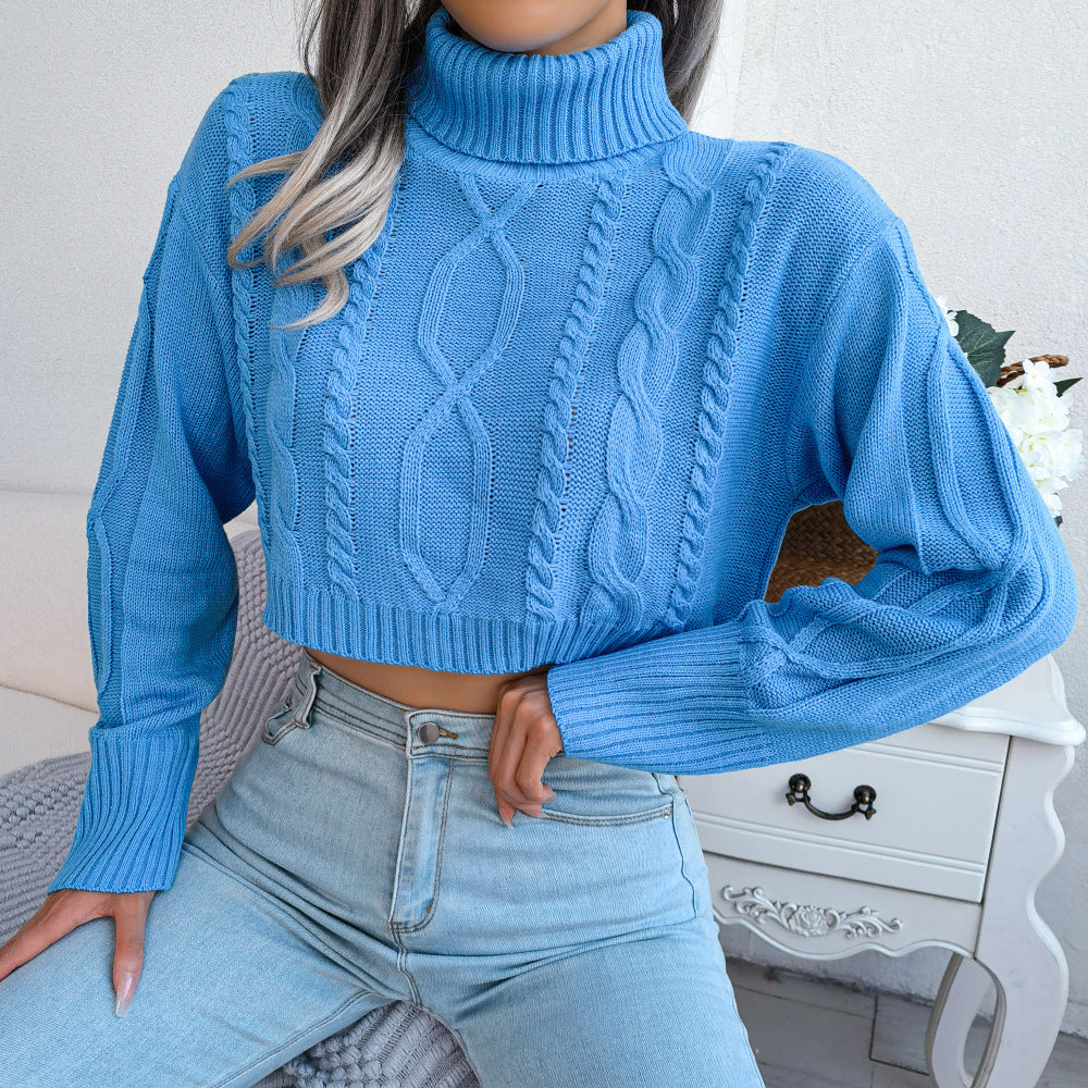 Mixed Knit Turtleneck Cropped Sweater Trendsi