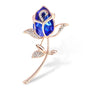 Elegant Alloy Crystal Brooch - DunbiBeauty, LLC