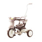 iimo Foldable Tricycle - DunbiBeauty, LLC