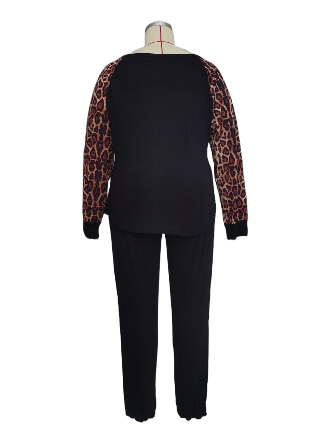 Leopard Sleeve Blouse & Pants Two-Piece Set - DunbiBeauty, LLC