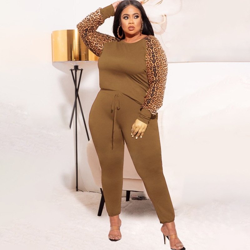 Leopard Sleeve Blouse & Pants Two-Piece Set - DunbiBeauty, LLC