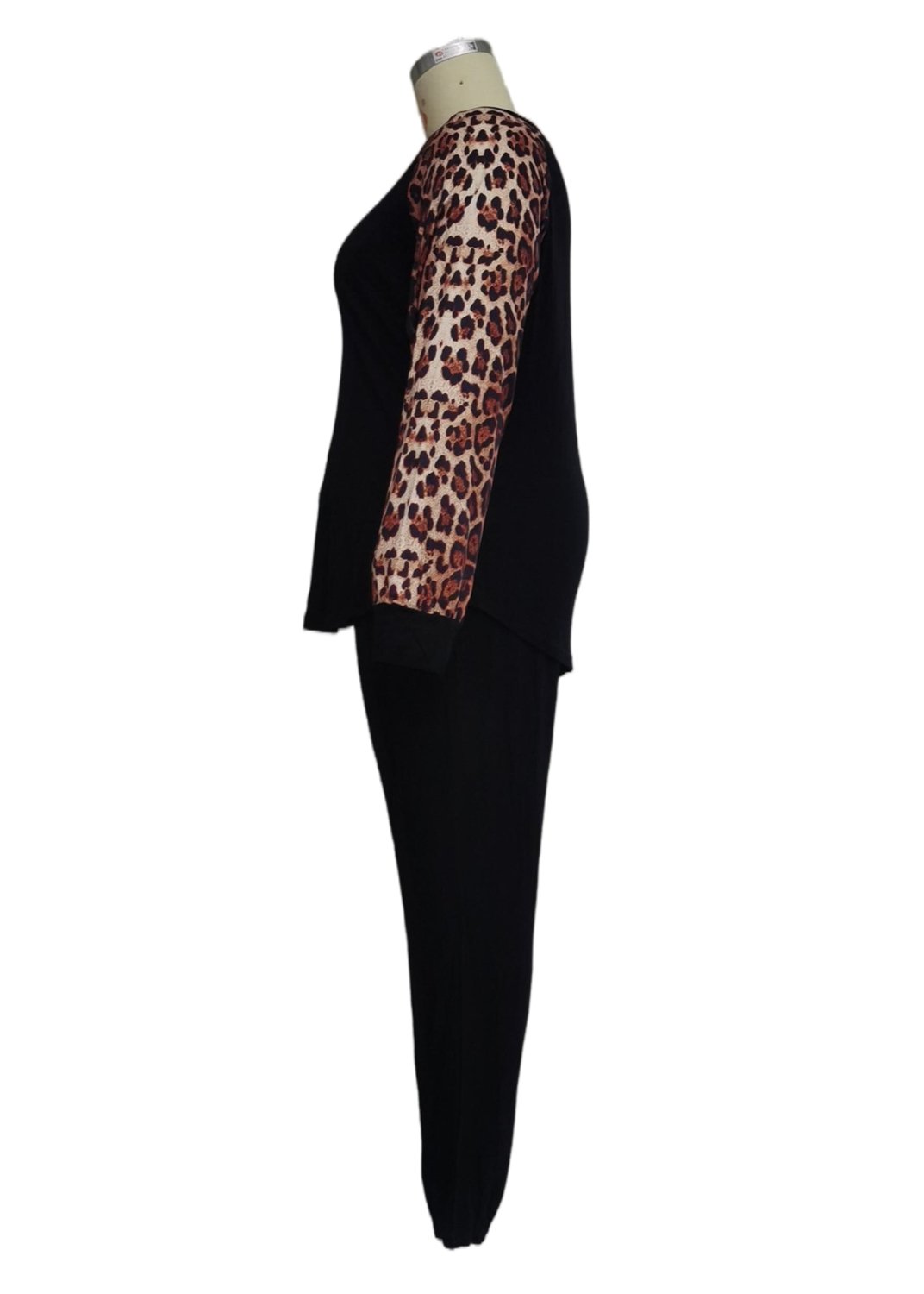 Leopard Sleeve Blouse & Pants Two-Piece Set - DunbiBeauty, LLC